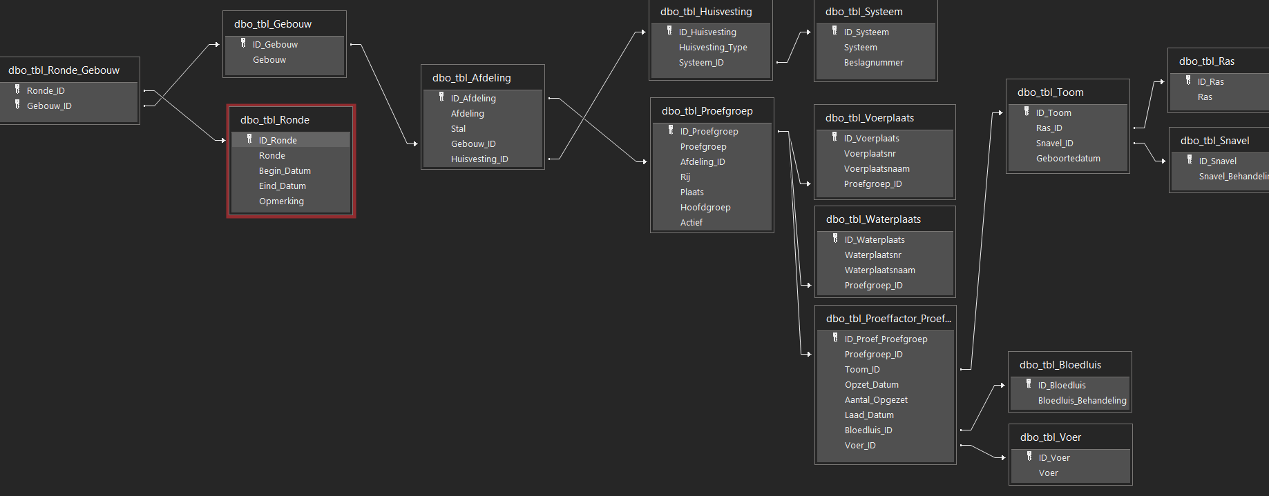 schema before